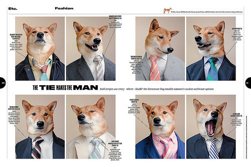 Bloomberg Businessweek dogs and tweaks