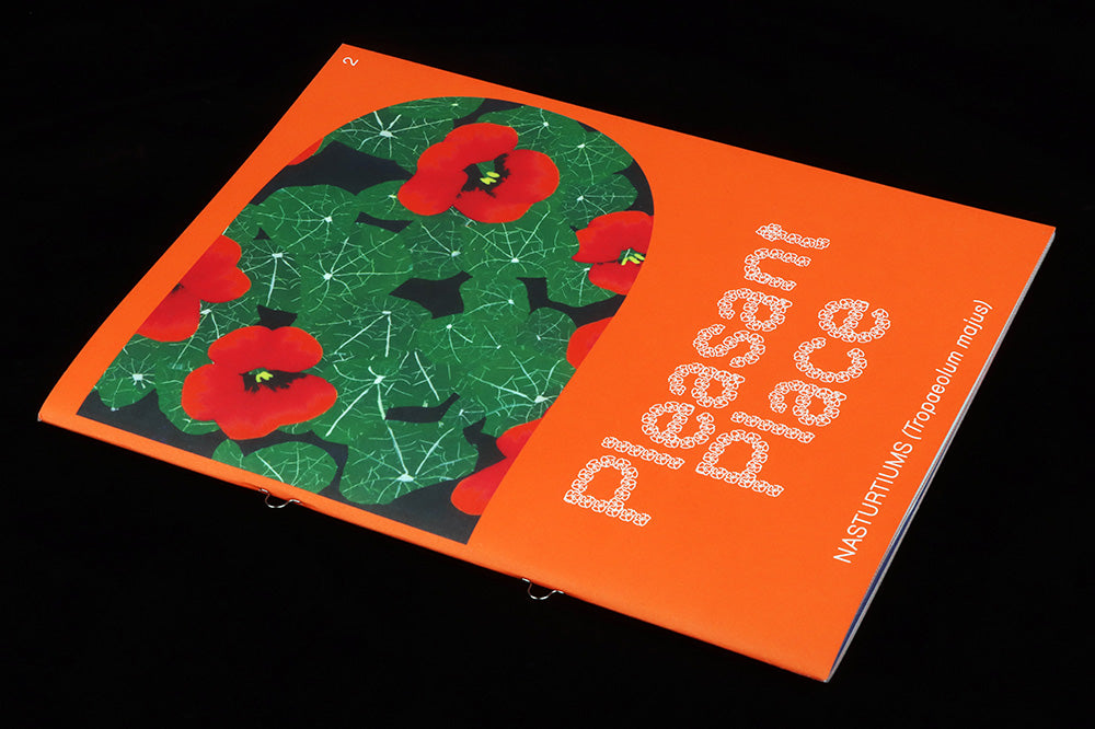 Pleasant Place issue two, Nasturtiums