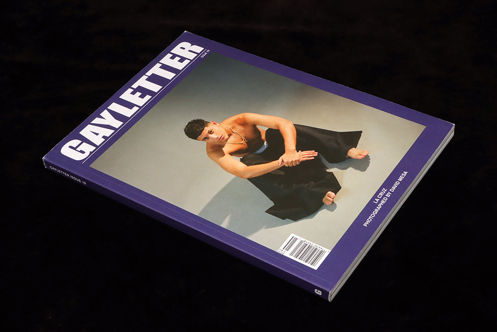 Gayletter #19