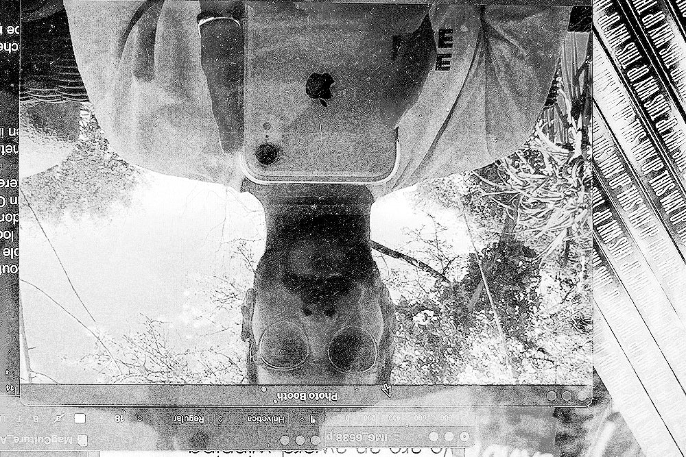 Adam Hunt, This Way Up — magCulture