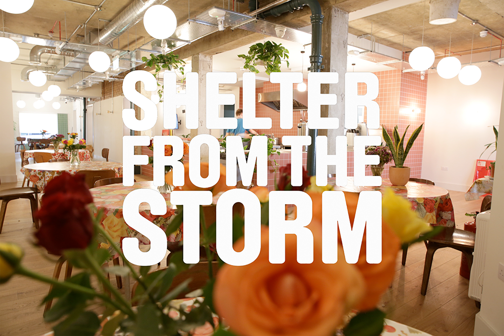 Shelter From the Storm