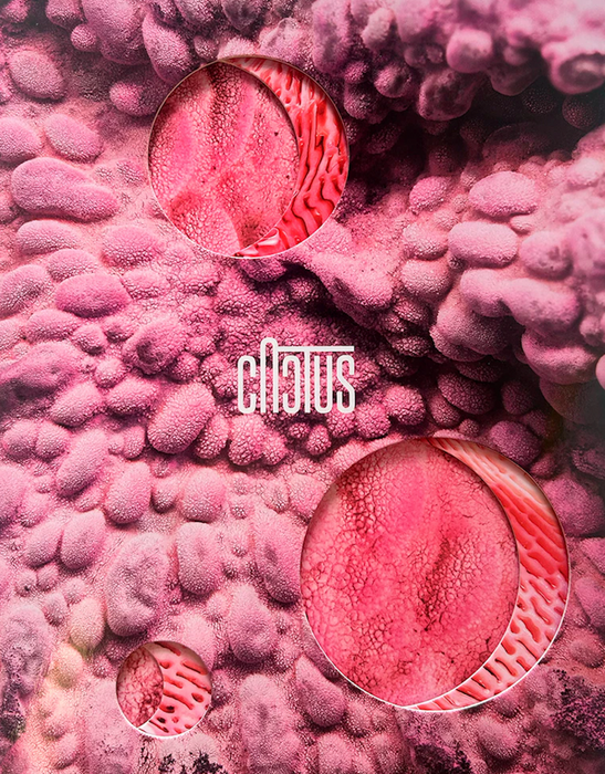 Cactus #21