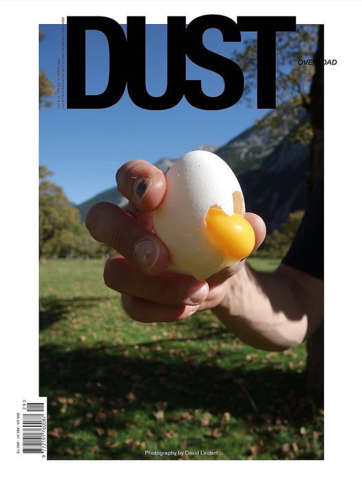 Dust #29