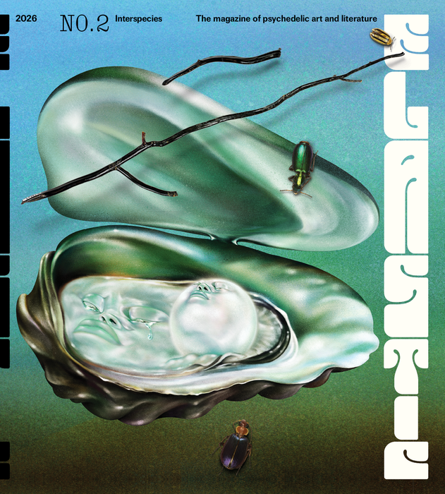 Elastic #2