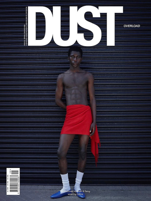 Dust #29