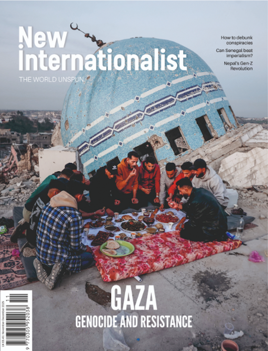 New Internationalist #558