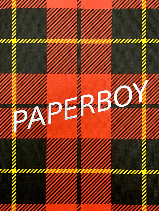 Paperboy #8