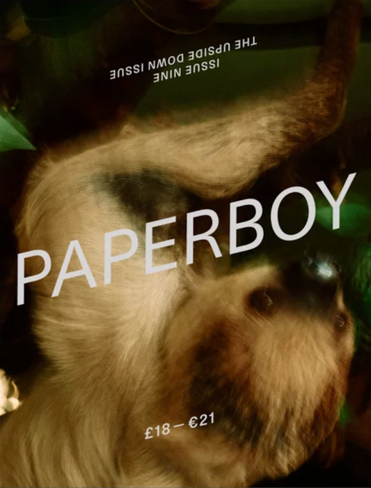 Paperboy #9