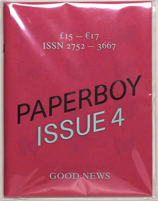 Paperboy #4