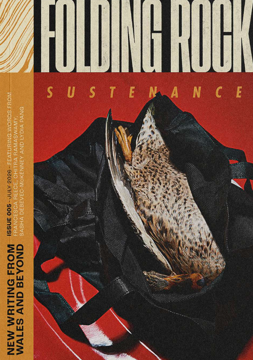 Folding Rock #5