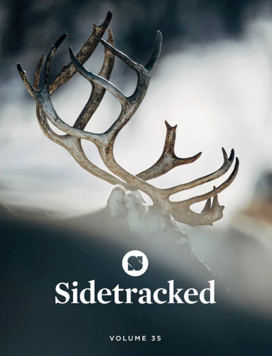 Sidetracked #35