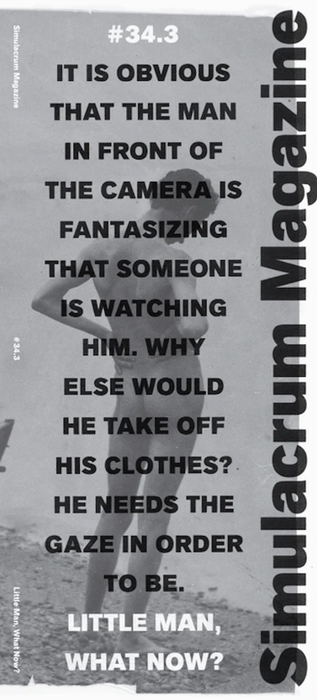 Simulacrum Vol. 34 #3