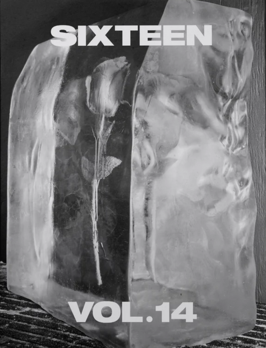 Sixteen Journal #14