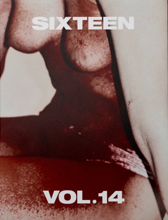 Sixteen Journal #14