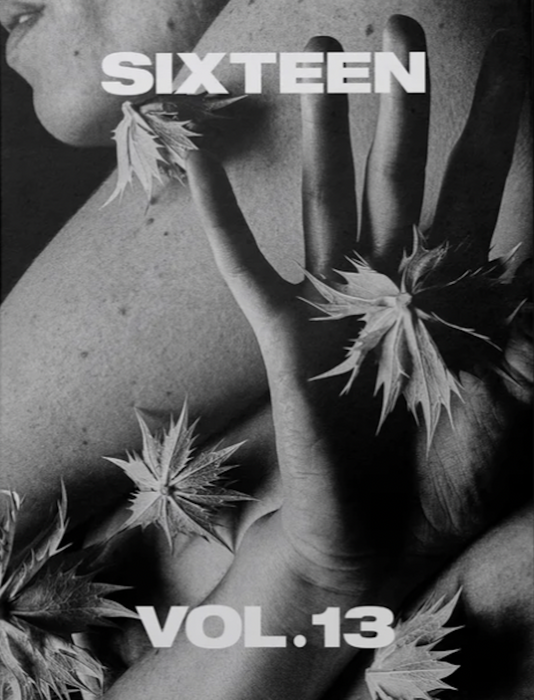 Sixteen Journal #13