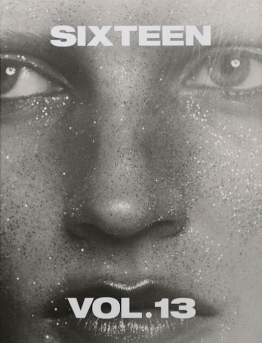 Sixteen Journal #13
