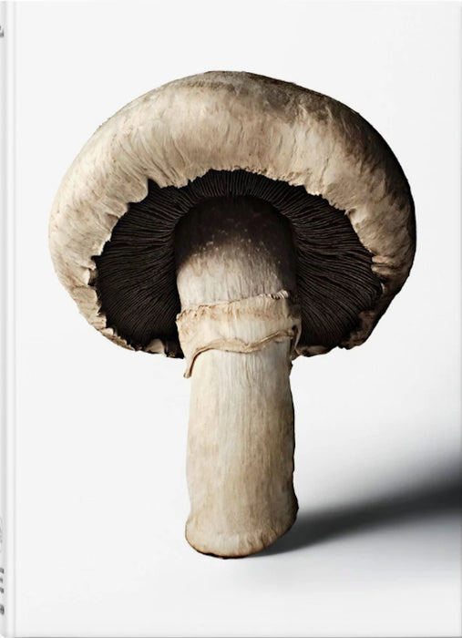 The Gourmand’s Mushroom