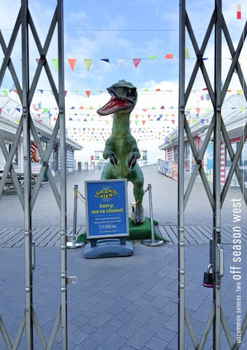 Uncommon Senses Photographic Journal #2