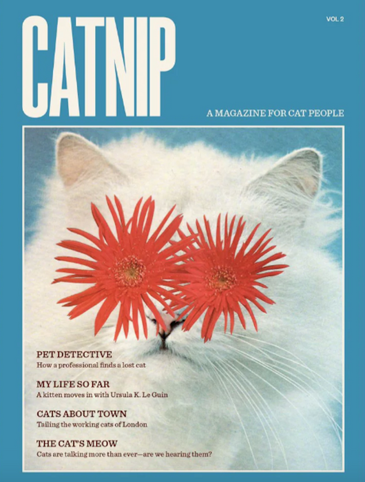 Catnip #2